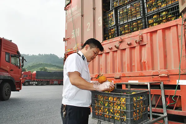 CÔNG TY TNHH CHUYỂN PHÁT NHANH KIM TÍN 365