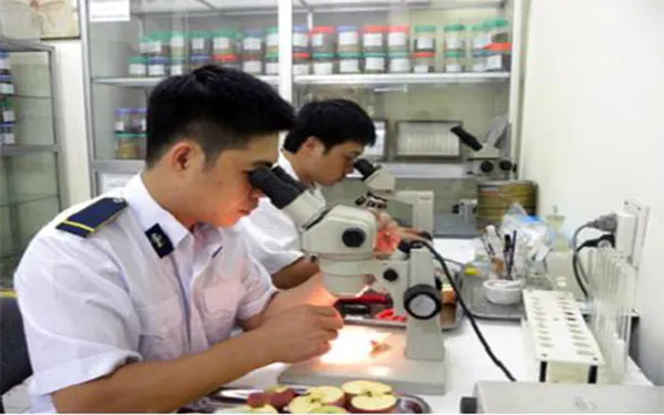 CÔNG TY TNHH CHUYỂN PHÁT NHANH KIM TÍN 365